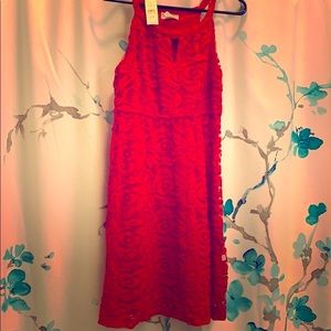 NWT 💕 Loft Red Lace dress